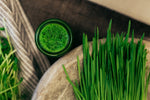 Benefits of Freshly Squeezed ORGANIC Wheatgrass Juice