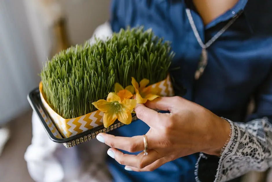 Fresh-Cut Wheatgrass