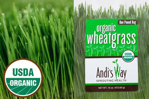 
                  
                    Load image into Gallery viewer, 1 LB Fresh Organic Wheat Grass - Andi&#39;s Way
                  
                