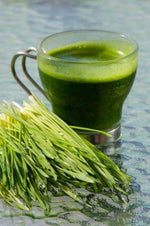 120 Shots of 2 oz Frozen 100% Raw Wheatgrass Juice - Andi's Way