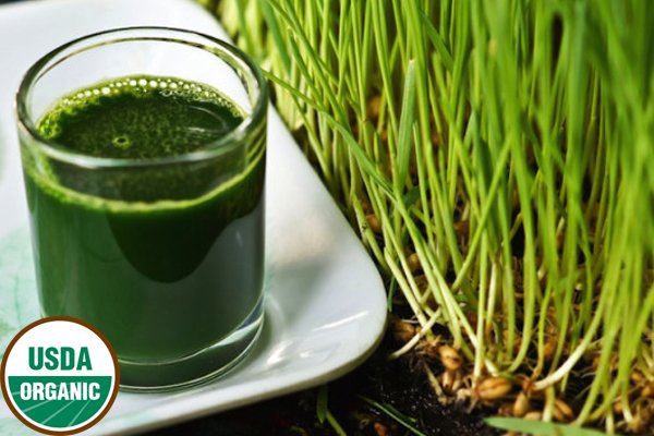 15 lb Large Bundle (5 lb each Wheatgrass, Sunflower, and Pea)Wheatgrass and Greens15 lb Large Bundle (5 lb each) - Andi's Way