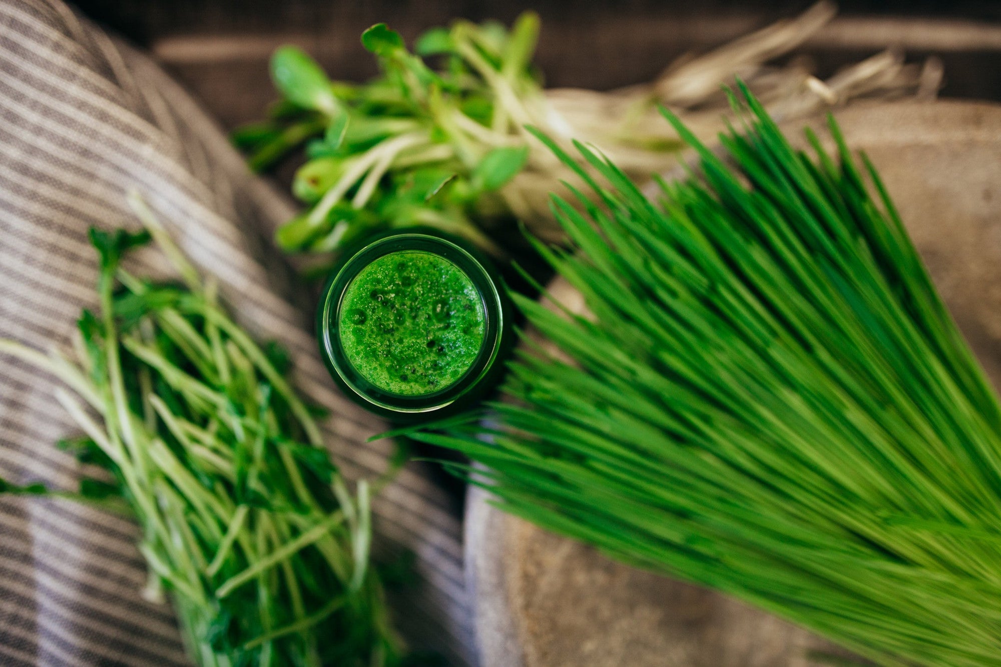 15 lb Large Bundle (5 lb each Wheatgrass, Sunflower, and Pea)Wheatgrass and Greens15 lb Large Bundle (5 lb each) - Andi's Way