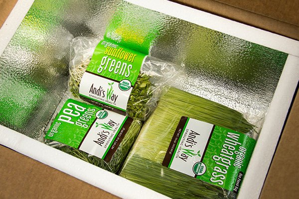 15 lb Large Bundle (5 lb each Wheatgrass, Sunflower, and Pea)Wheatgrass and Greens15 lb Large Bundle (5 lb each) - Andi's Way