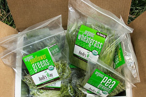 
                  
                    Load image into Gallery viewer, 15 lb Large Bundle (5 lb each Wheatgrass, Sunflower, and Pea)Wheatgrass and Greens15 lb Large Bundle (5 lb each) - Andi&#39;s Way
                  
                