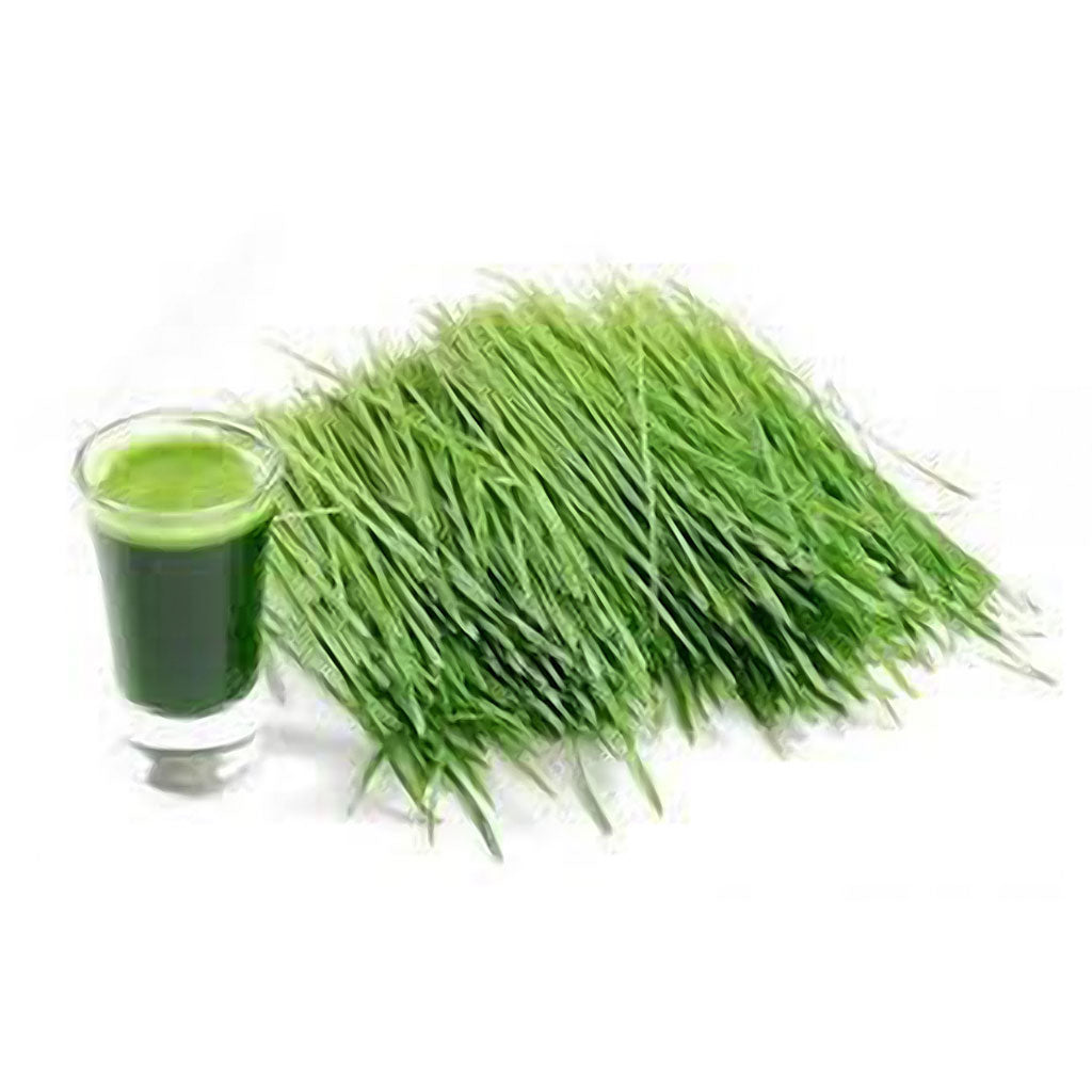 2oz Raw Wheatgrass 30 Shots Andisway