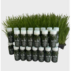 30 Shots of 2oz Wheatgrass Juice Bottle Andisway
