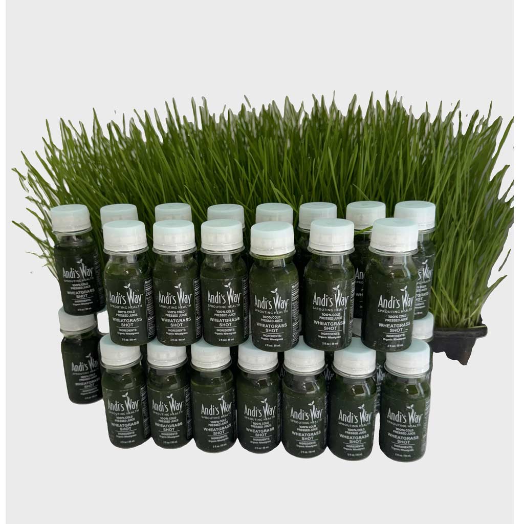 30 Shots of 2oz Wheatgrass Juice Bottle Andisway