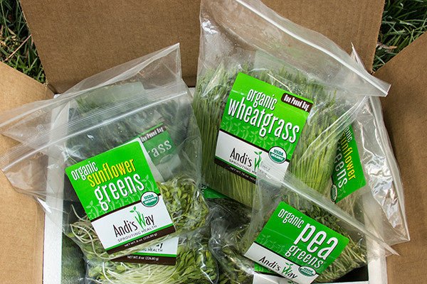 9 lb Medium Bundle (3lb each Wheatgrass, Sunflower, and Pea)Wheatgrass and Greens9 lb Medium Bundle (3lb each) - Andi's Way