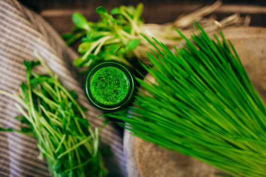 9 lb Medium Bundle (3lb each Wheatgrass, Sunflower, and Pea)Wheatgrass and Greens9 lb Medium Bundle (3lb each) - Andi's Way