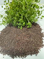 Organic Broccoli Microgreen Seeds