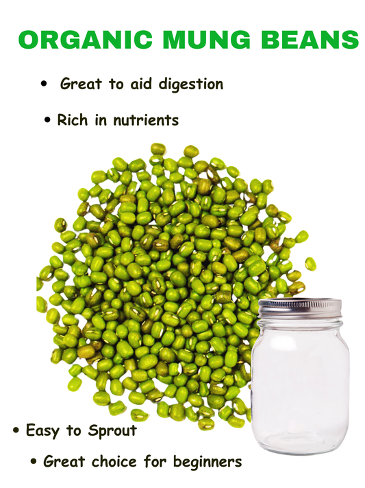 Organic Mung Beans for Sprouting | Non-GMO Sprout Seeds | High Germination | Andi’s Way