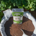 Organic Radish Seeds Andisway