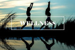 Wellness Andisway