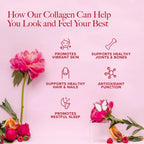 Collagen peptides supplement benefits of Type 1 and Type 3 collagen