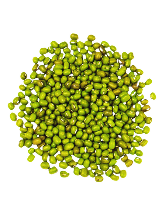 Organic Mung Beans for Sprouting | Non-GMO Sprout Seeds | High Germination | Andi’s Way