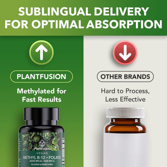 Supplement bottle labeled 'PlantFusion' with green label and black cap on white background