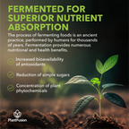 PlantFusion Organic Beet Root Powder - Cardiovascular Boost