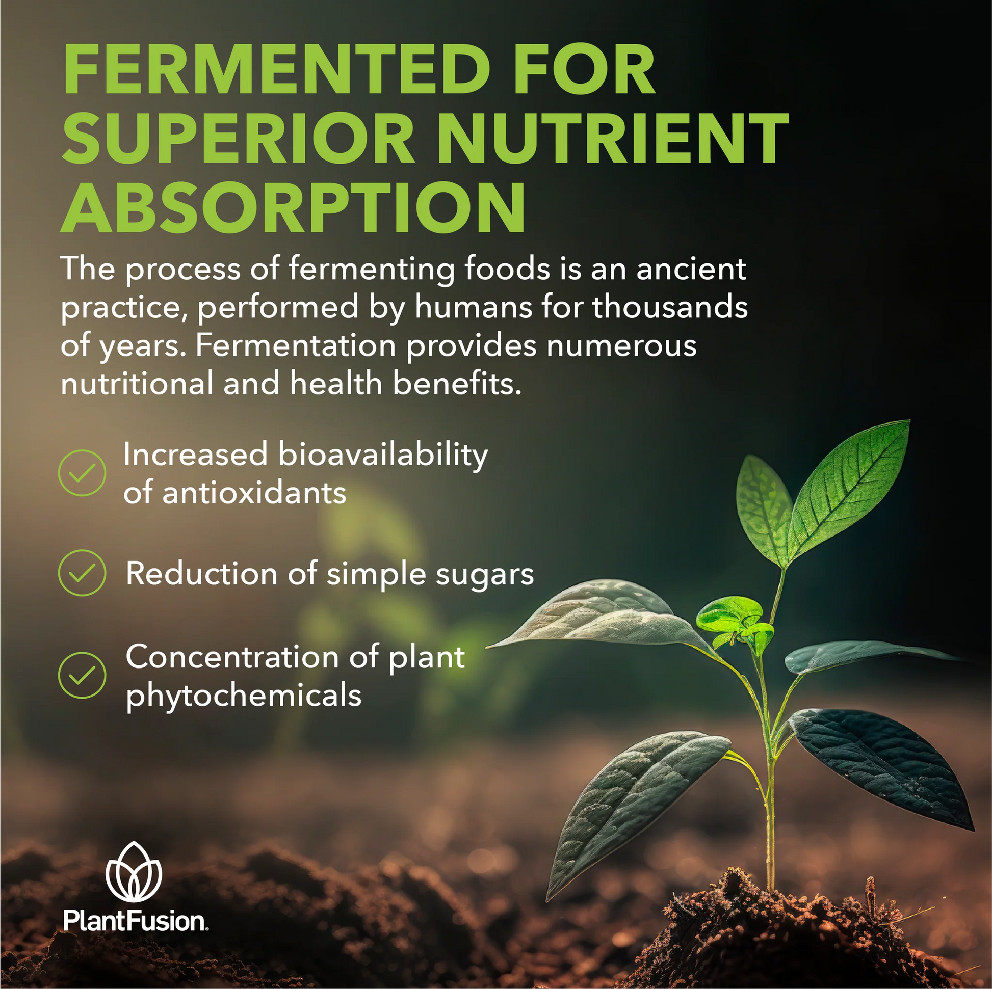 Advertisement for PlantFusion highlighting the benefits of fermented foods with a young plant in the foreground.
