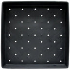 Professional Grass FlatSeeds Growing TraysProfessional Grass Flat