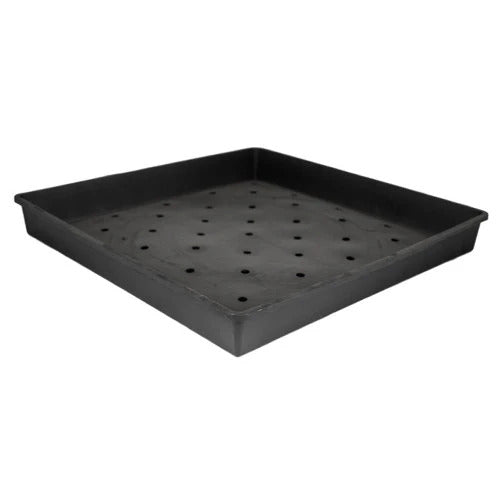 Professional Grass FlatSeeds Growing TraysProfessional Grass Flat