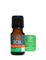 Focus - Organic Essential Oil Blend - Andi's Way